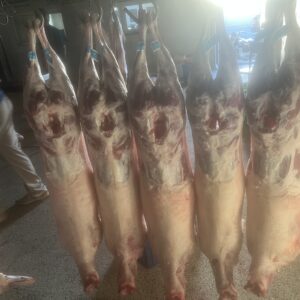 فروش ویژه گوشت بره نر